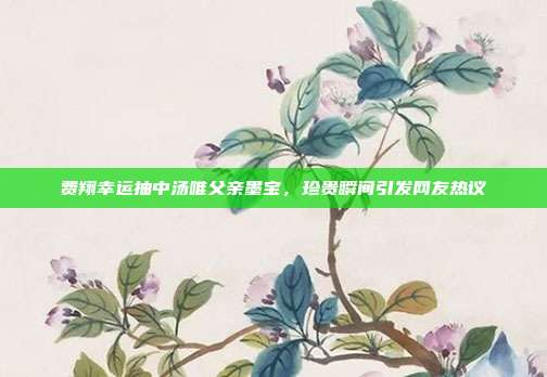 费翔幸运抽中汤唯父亲墨宝，珍贵瞬间引发网友热议