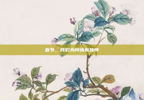 春节，我们为何情有独钟