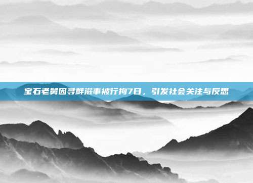 宝石老舅因寻衅滋事被行拘7日，引发社会关注与反思