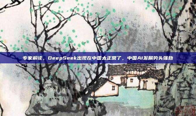 专家解读，DeepSeek出现在中国太正常了，中国AI发展势头强劲