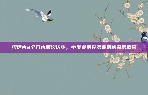 绍伊古3个月内两次访华，中俄关系升温背后的深层原因