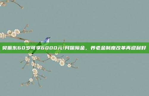 樊振东60岁可享6000元/月保障金，养老金制度改革再迎利好