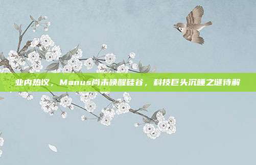 业内热议，Manus尚未唤醒硅谷，科技巨头沉睡之谜待解