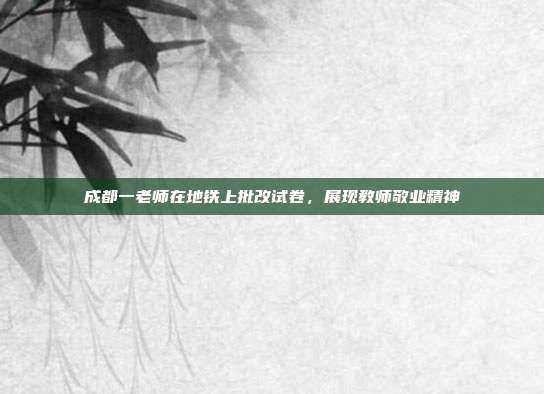 成都一老师在地铁上批改试卷，展现教师敬业精神