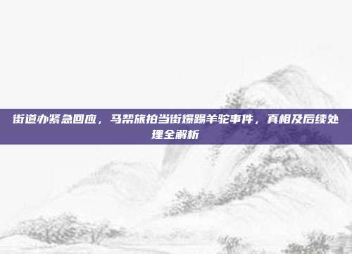 街道办紧急回应，马帮旅拍当街爆踢羊驼事件，真相及后续处理全解析