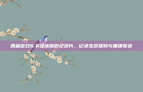 西藏定日6.8级地震微纪录片，记录生命坚韧与重建奇迹